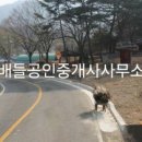 합천부동산공인중개사사무소 이미지