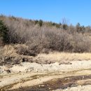 양지-3133 이미지