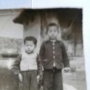 1951년 어린시절 이미지