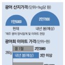 광어회7,000