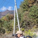 평화상회 이미지