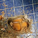 진도누수공사 이미지