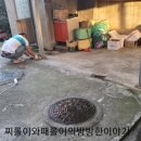 신공항크레인