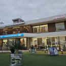 산수싸리 이미지