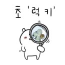 메이;율 이미지