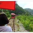 통나무집닭갈비 이미지