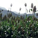 정선주유소 이미지