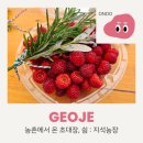 지석농장 이미지