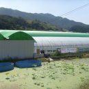 영승농장 이미지