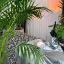 미사강변중앙로 110번길 | 하남 미사 에스테틱 블랙헤드 제거 두피관리 올인원케어 루시르뷰티클리닉센터