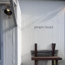 [제주/구구호스텔] 혼자 여행하기 좋은 제주 구구호스텔 방문 후기