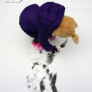 7번가피자춘천점 이미지