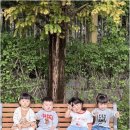 숲속하나어린이집 이미지