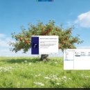 정지뜰스크린 이미지