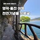 울진남부도서관 | 울진 성류굴 입장료 주차 소요시간 영덕 당일치기 가볼만한곳