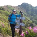 방가방가 이미지