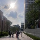 포커스치과의원 | 강동구 어린이 충치치료 트리움치과 방문후기