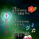 부산정 Daum카페