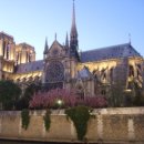 노틀담세탁 이미지