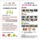 부산 혜성학교 이미지