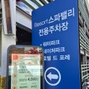251110 대구 네이처파크 백사자 루나.루카 월요일 관람 후기
