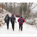 법성포초등학교 이미지