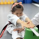 국가대표 한울태권도 이미지