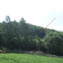 강림면331 이미지