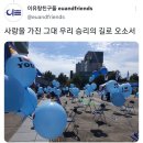 광주 김대중컨벤션센터로 모이는 오소리들 이미지