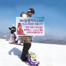 **철 - 금산군 진산면 | **철