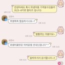 송송펫 이미지