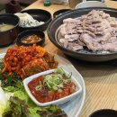 늘푸른건강밥상2 이미지