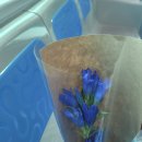 곰갈비집 이미지