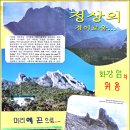 코타 이미지