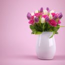 화분인간 이미지