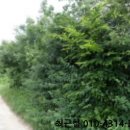 고흥읍 흥양길 네이버블로그