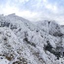 포레스트 12 자연휴양림 이미지