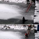 폴란드 소방관, 얼어붙은 강에서 개 구해...外 이미지