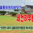 여미선착장 이미지