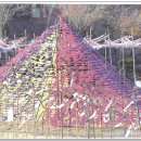 제주산업정보대학 이미지