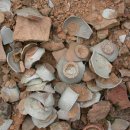 장안동 백자가마터 이미지