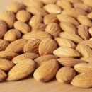 아몬드(Almond)