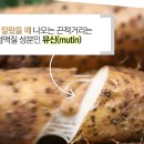 구뜨밀 이미지