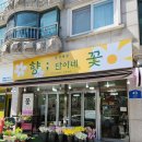 안양 평촌 꽃집 환갑 칠순 꽃다발 향단이네 꽃 직매장 내돈내산