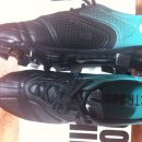 글로엘리트 이미지