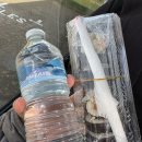 솔비네김밥 | 세븐시스터즈 투어 추천 / 영국 교환학생 Pick ✨