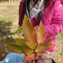 작은꽃어린이집 이미지