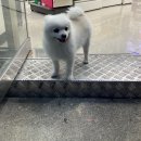 저는 혼자 노는 걸 좋아해요 다만 전제가 있어요