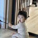 모닝장 이미지