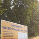Serpentine Wildlife Management Area 이미지